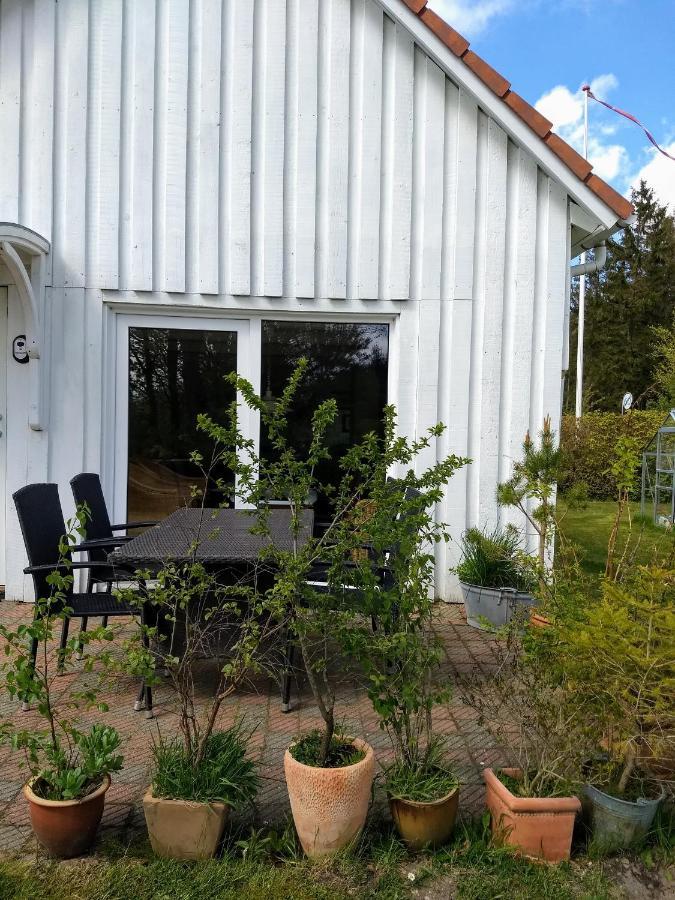 Willa Abildskovhus Feriebolig Funder Kirkeby Zewnętrze zdjęcie
